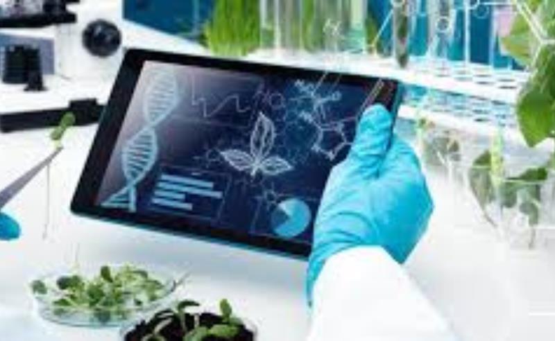 Indústria brasileira amplia uso de tecnologia limpa à base de ozônio em processos produtivos