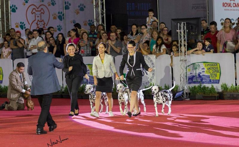 Brasil recebe a Exposição Américas e Caribe 2026 no Rio de Janeiro