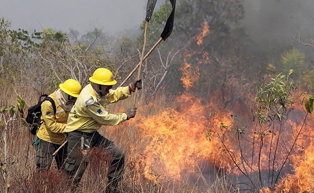 Goiás registra 43 atendimentos a incêndios em vegetação em apenas um dia