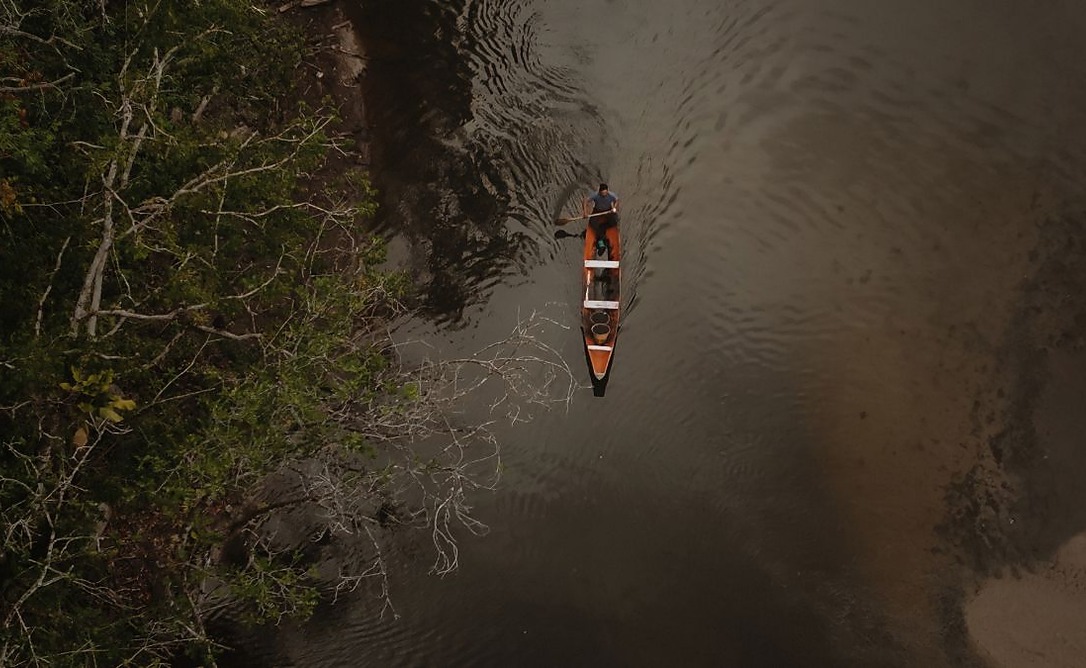 Bioconhecimento e inovação na Amazônia estão conectados? Webinar gratuito abre o diálogo
